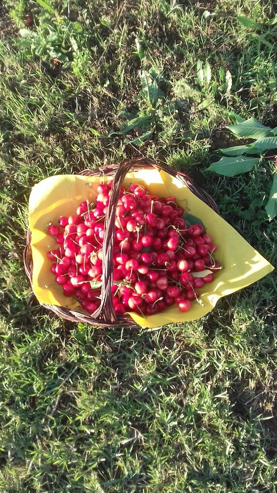 Фото B&b Casale Pietrantica Tropea