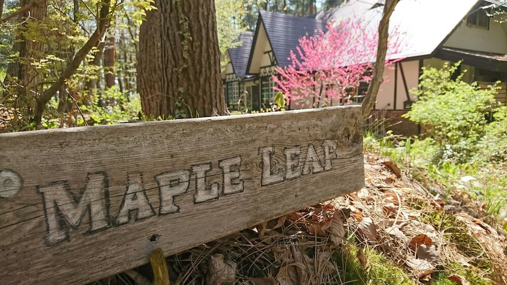 Фото Pension Maple Leaf