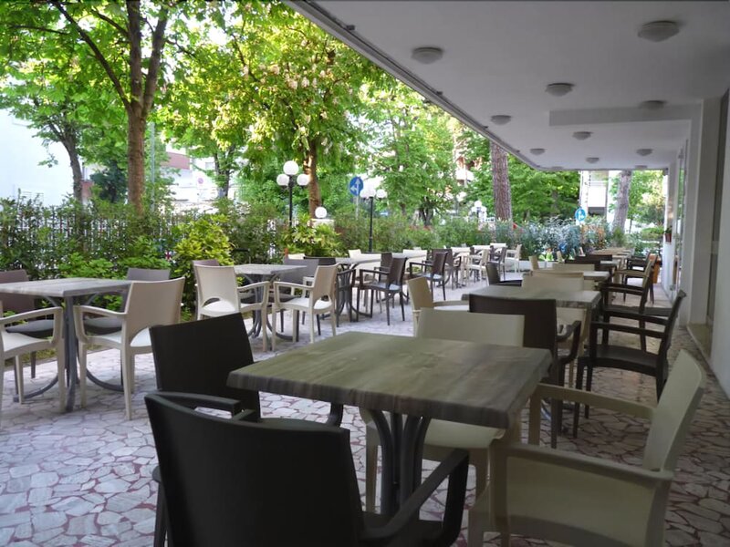 Гостиница Hotel Pierre Riccione