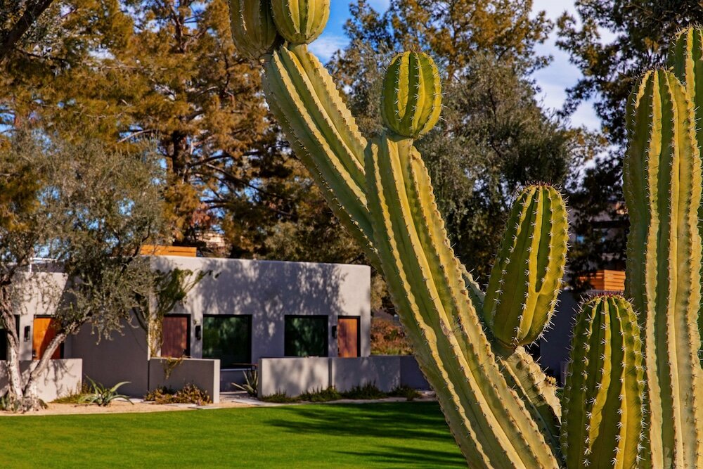 Фото Andaz Scottsdale Resort & Bungalows