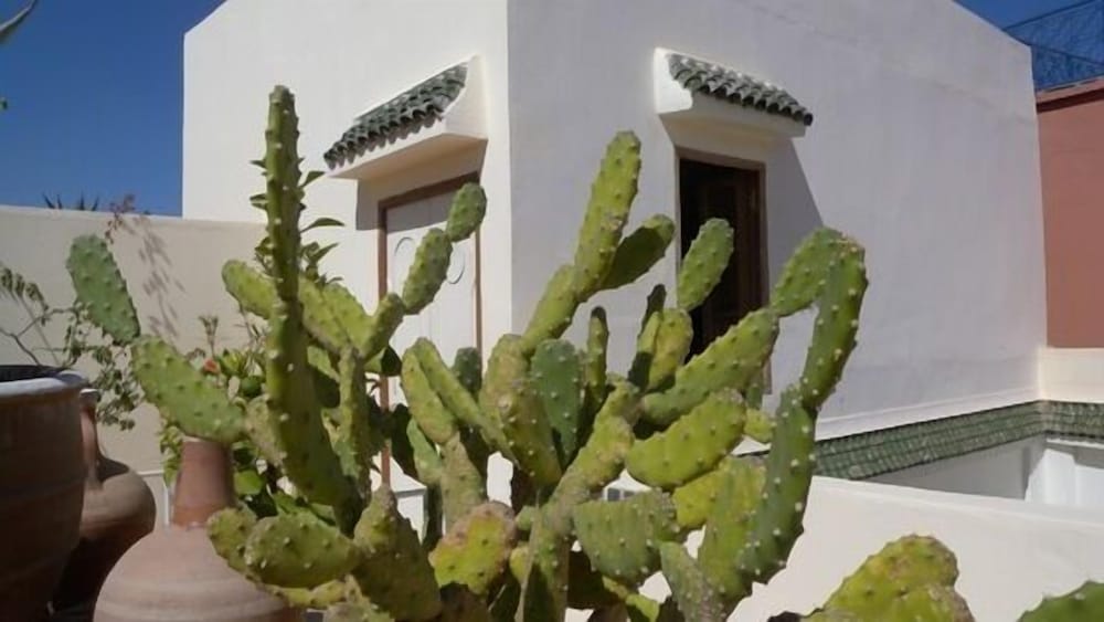 Фото Riad Le Coq Berbere