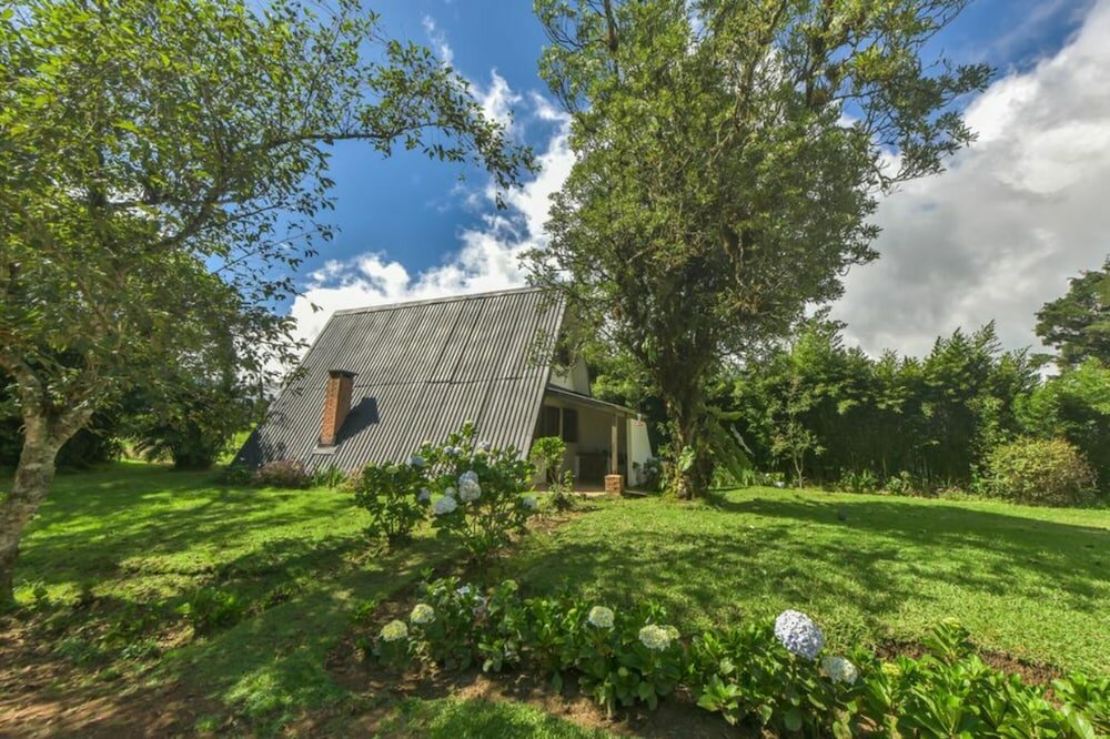 Фото Villa Calas