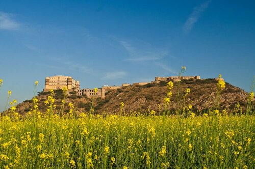Гостиница Neemrana's Tijara Fort Palace