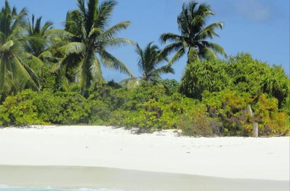 Фото Local Island Inn