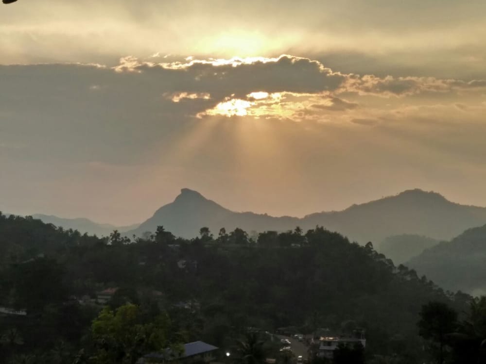 Фото The Munnar Queen