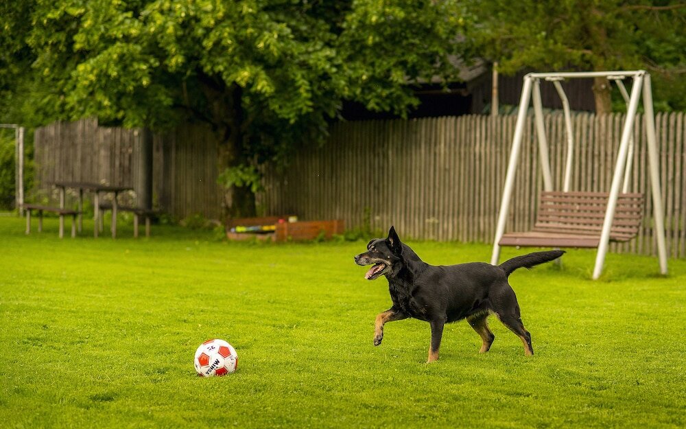 Фото Guest House Cyprian