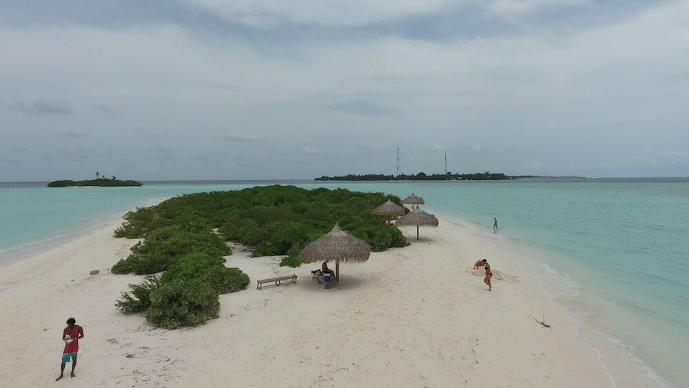 Фото Palm Residence