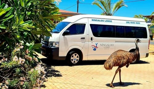 Гостиница Ningaloo Lodge Exmouth