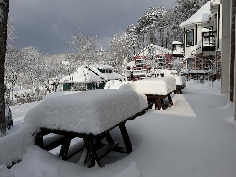 Гостиница PyeongChang Ski House