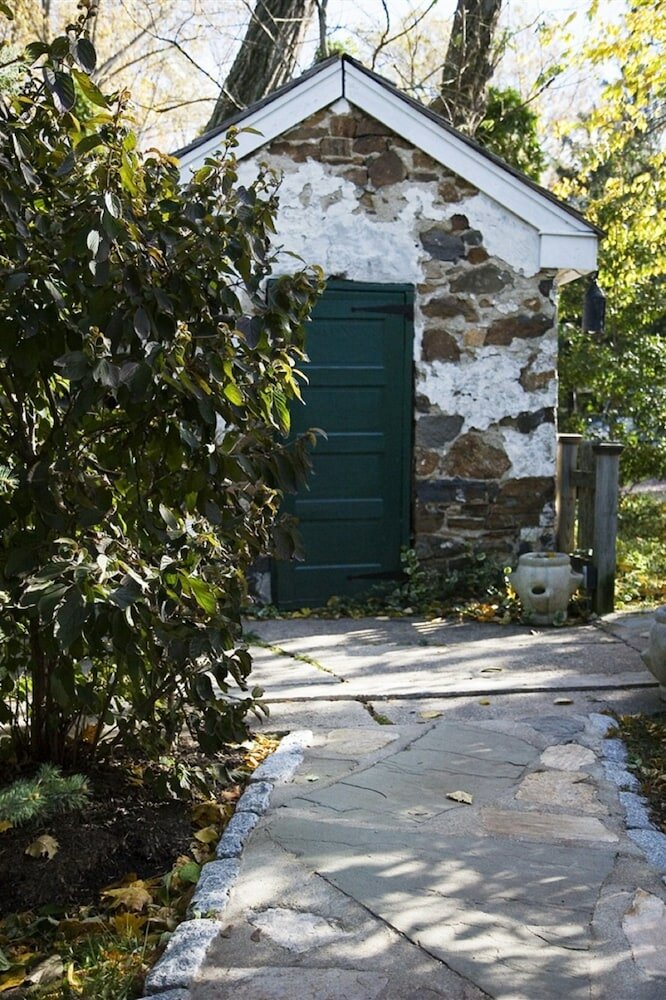 Фото Wild Wisteria