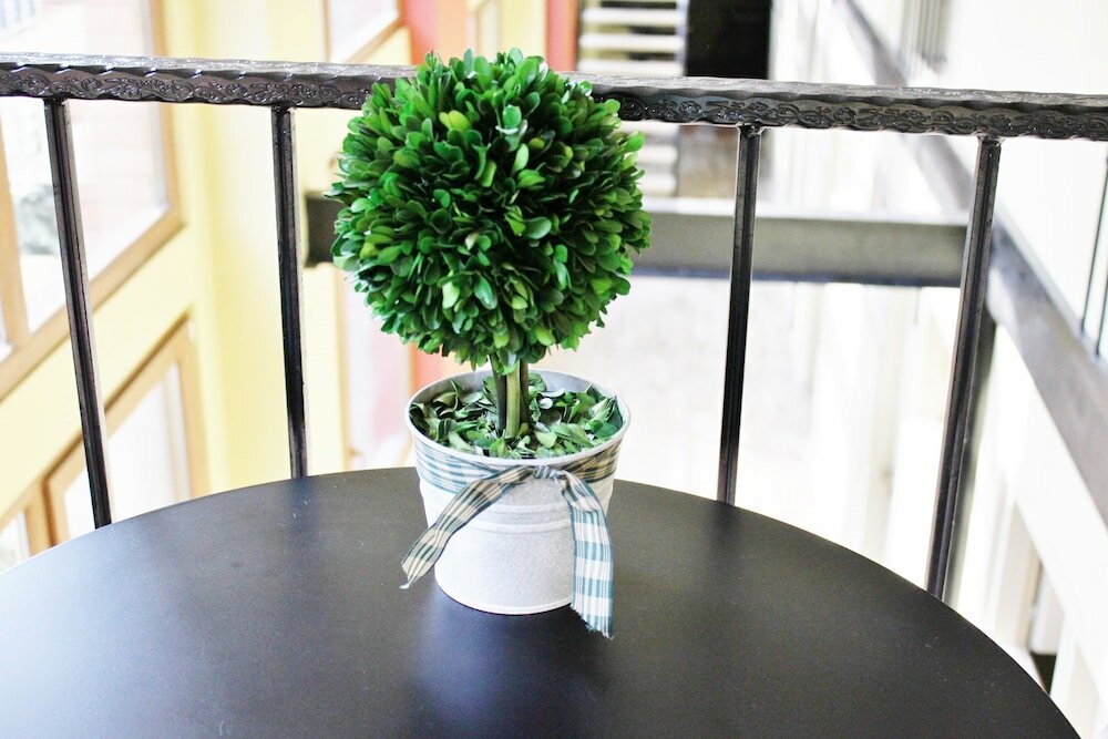 Фото Red Fox Guesthouse