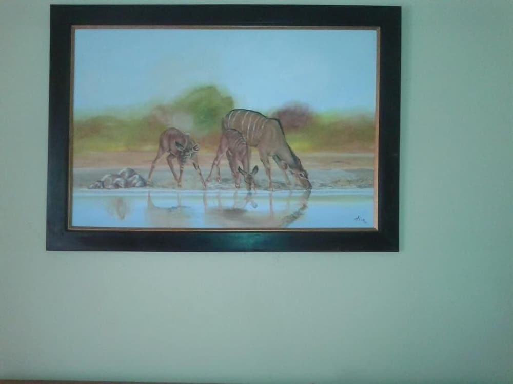 Фото Overflow Guest House