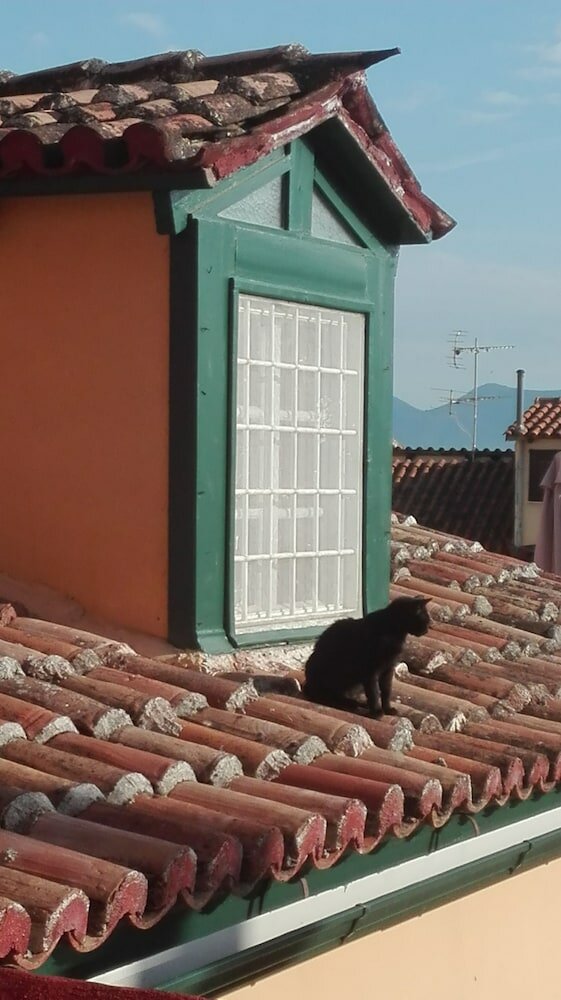 Фото Byron Hotel