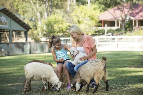 Гостиница Paradise Country Farmstay в Голд-Кост