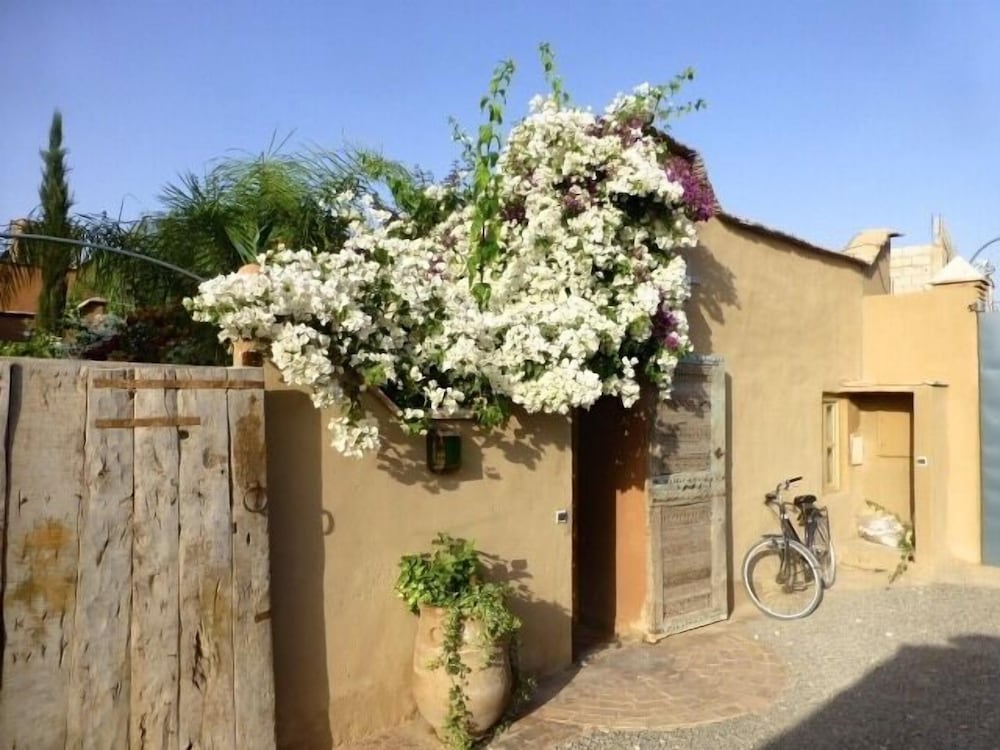 Фото Palais Mandarine