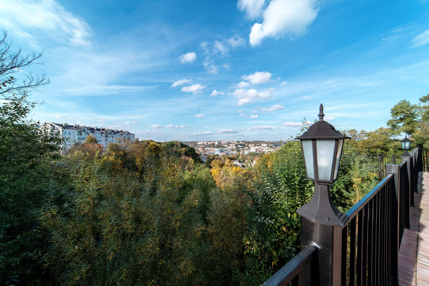 Фото Смолка