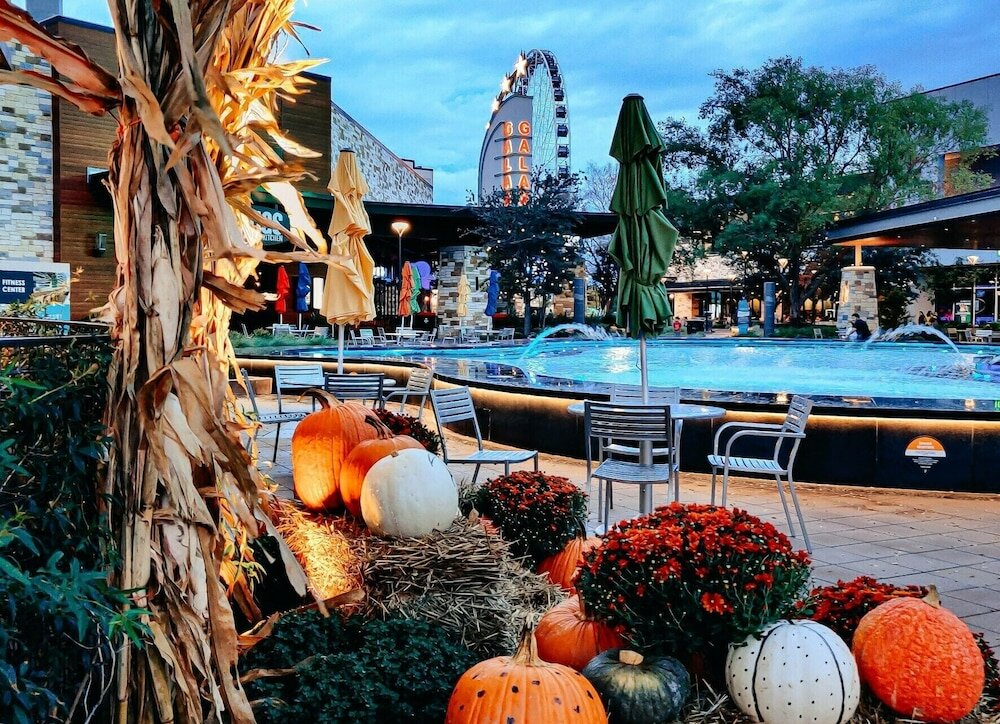 Фото Holiday Inn Plano - The Colony, an Ihg Hotel