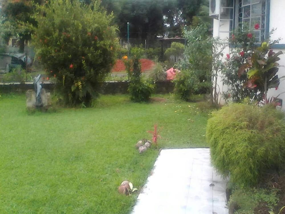 Фото Dreams Homestay