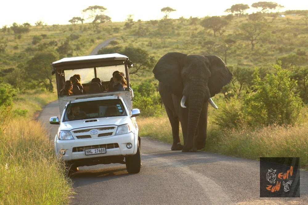 Фото Lodge Afrique