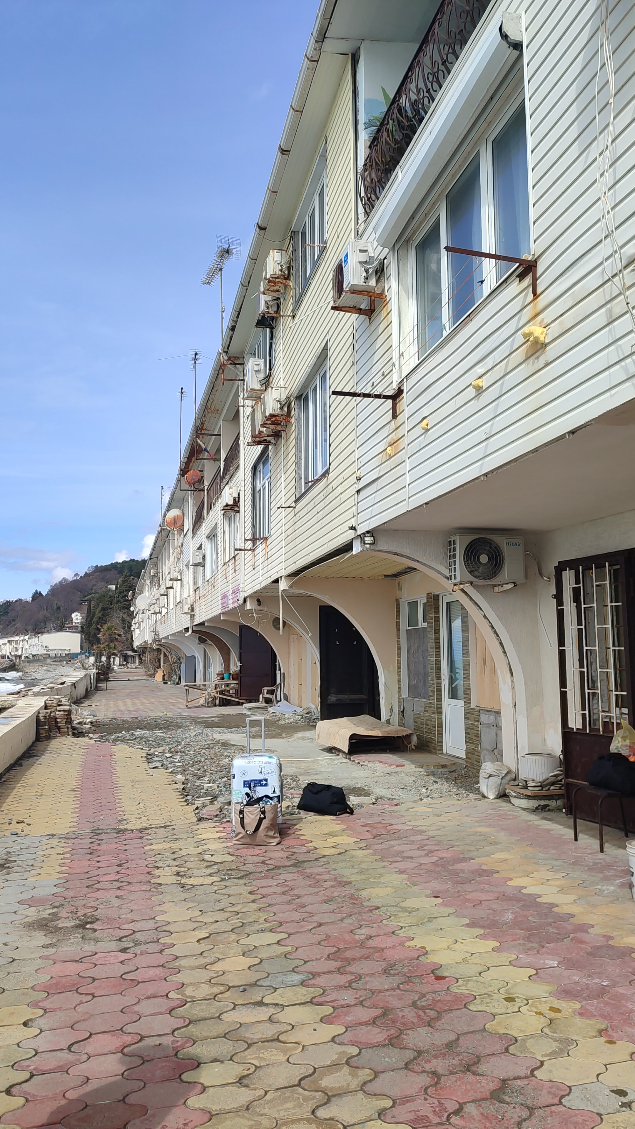 Фото Пальмира