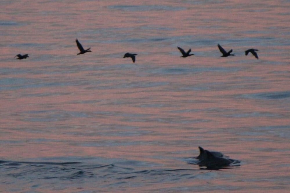 Фото Watercolours Studios