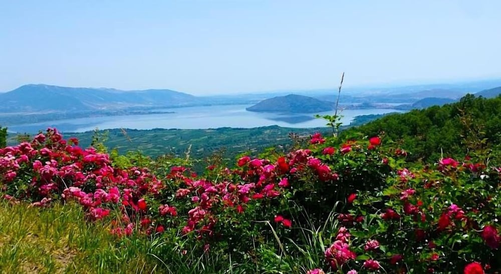 Фото Loggas Hotel