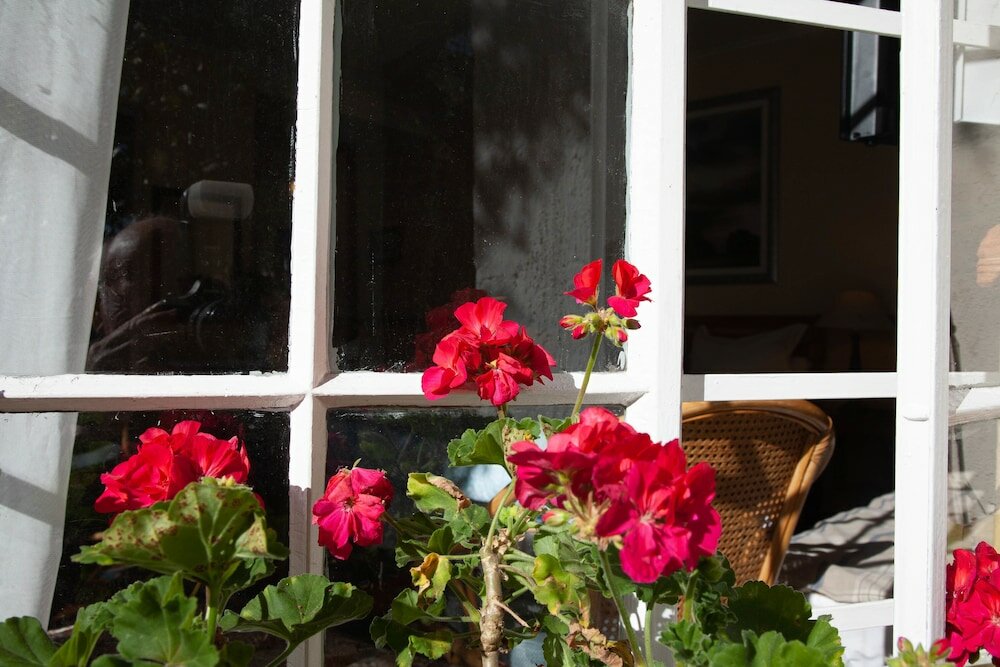 Фото Darrenwood Guest House