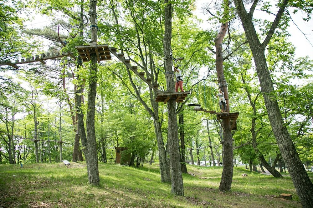 Фото Karuizawa Prince Hotel East