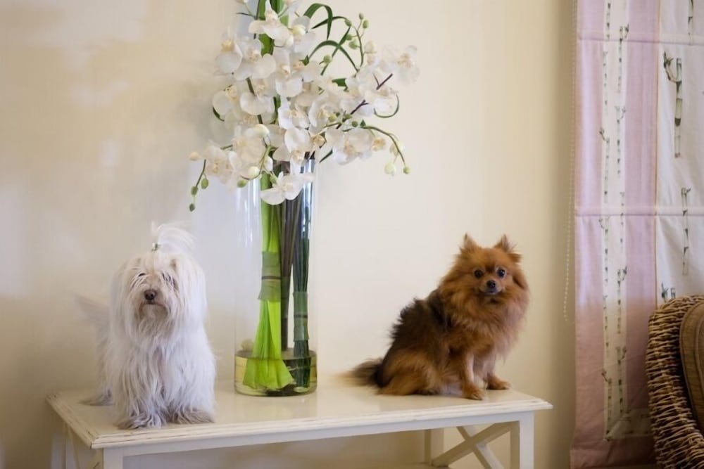 Фото Hotel Speranza