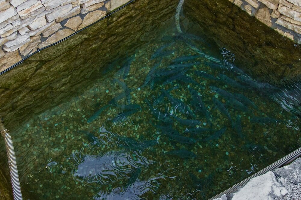 Фото Hotel Plava Laguna