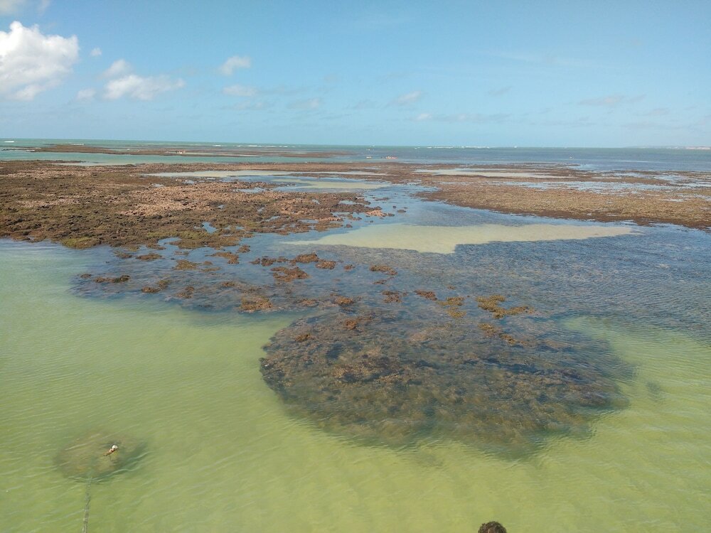 Фото Pousada dos Girassóis