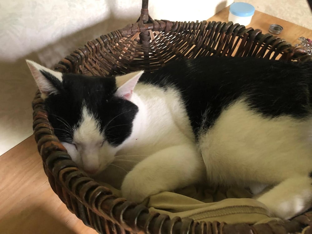 Фото No Track - Hostel