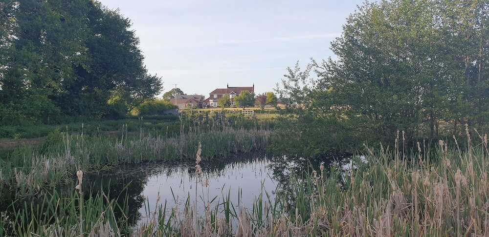 Фото The Moorhead Bed & Breakfast