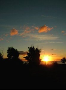 Гостиница Hostal Sunset