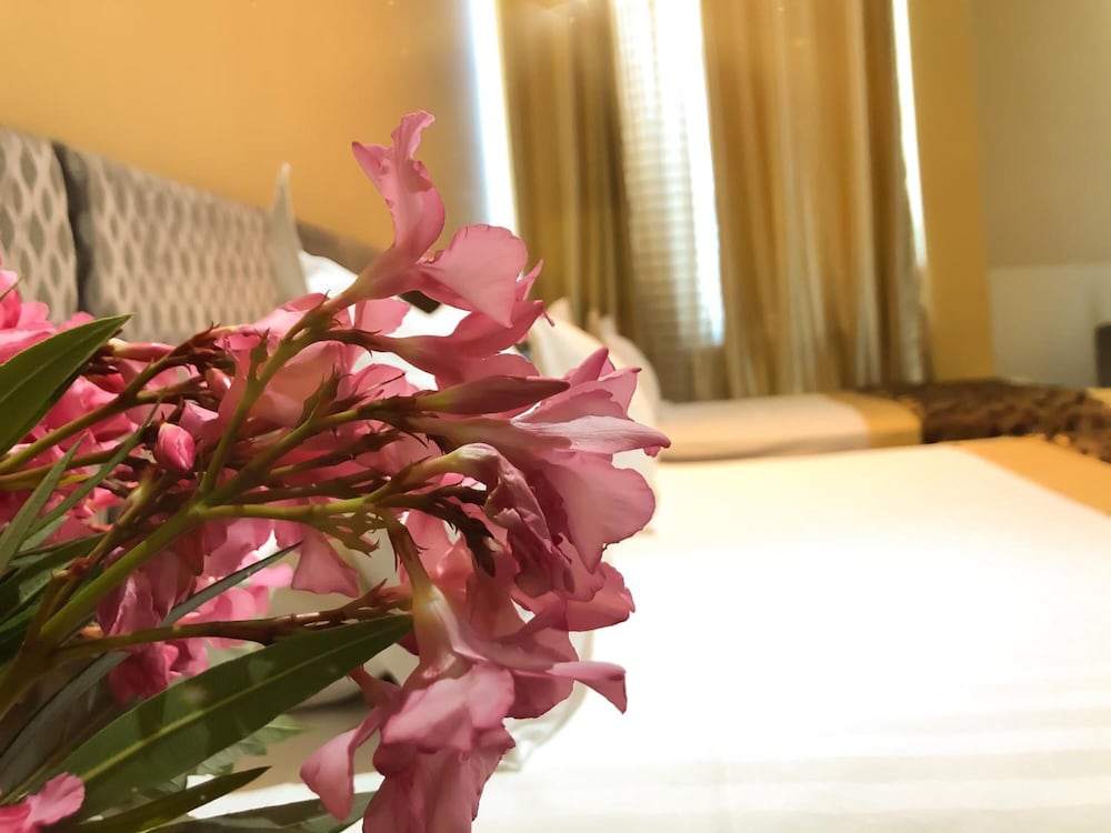 Фото Hotel Kompleksi Arifi