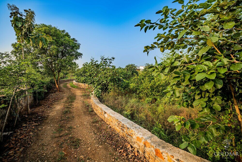 Фото Guldaar - A Luxury Forest Retreat
