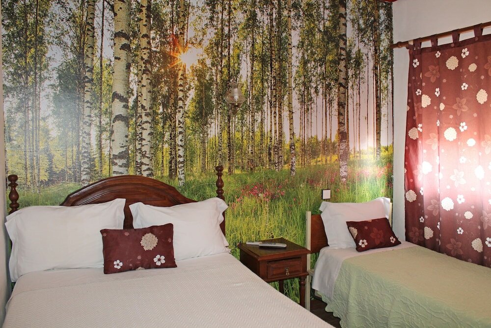 Фото Pensão França