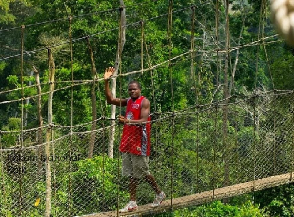 Фото Marrets International