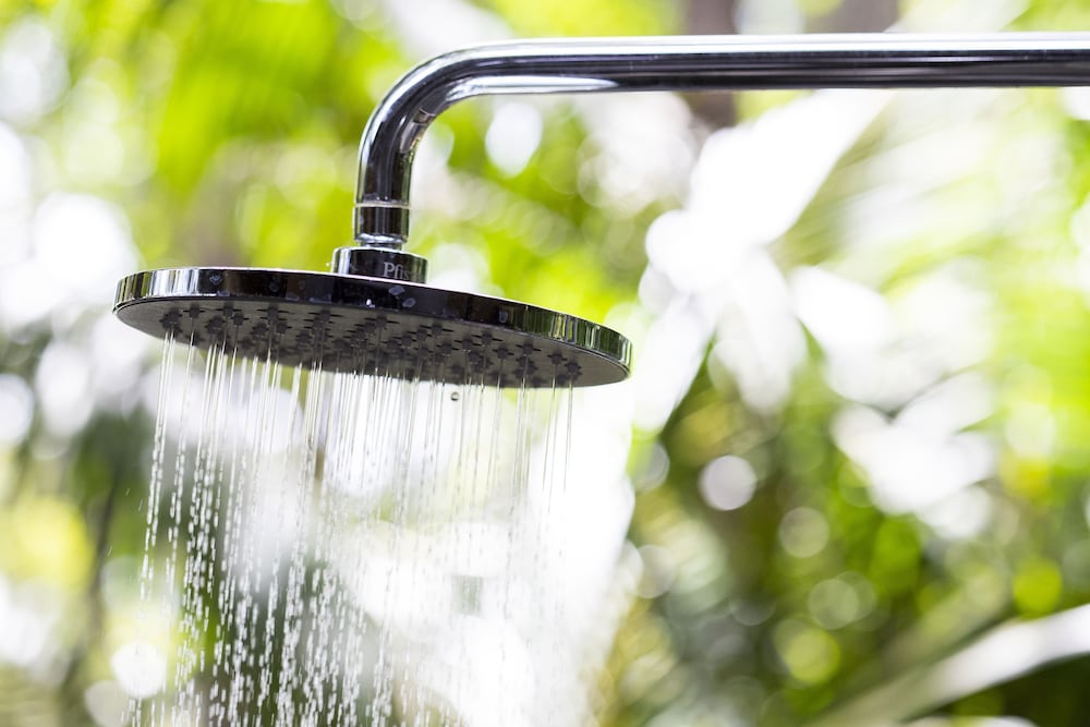 Фото Bodhi Tree Yoga Resort