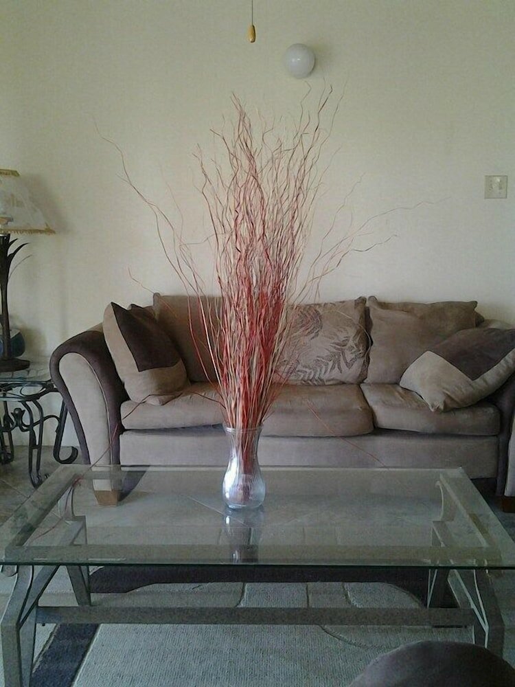 Фото Croton Studio at Sungold House Barbados