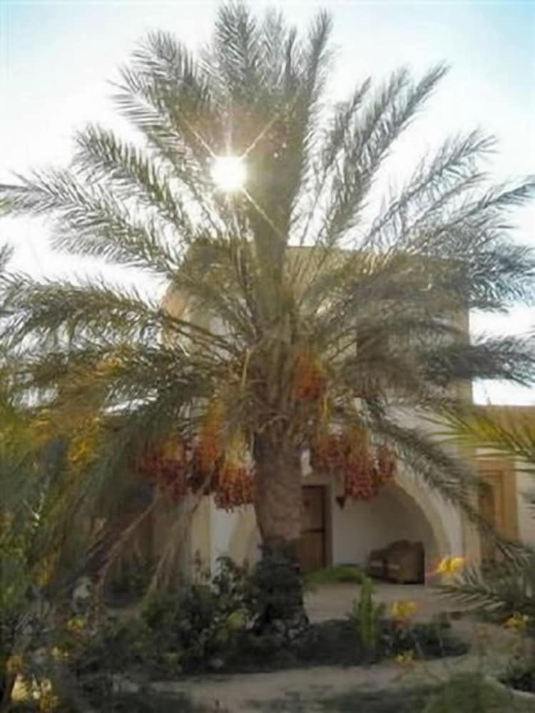 Фото Dar Zargouni