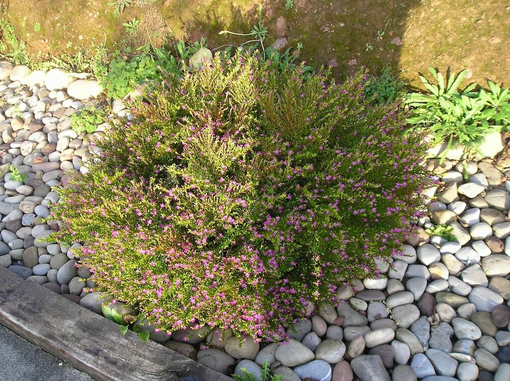 Фото Rural Obaya