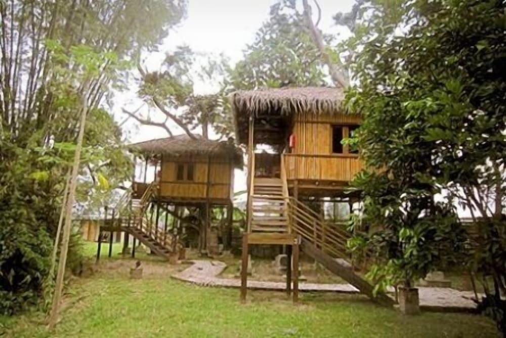 Фото The Roots Eco Resort