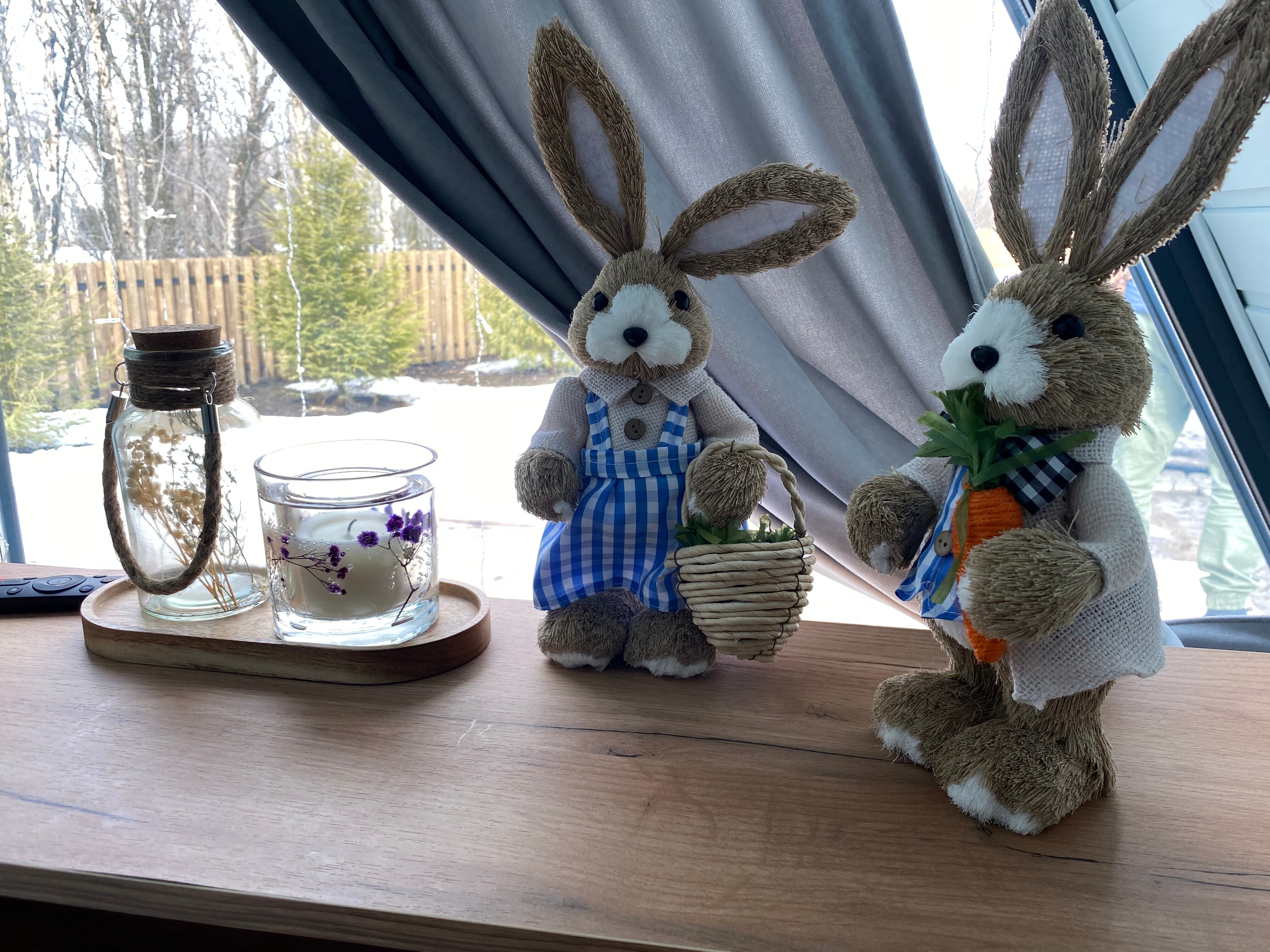 Фото Нарния