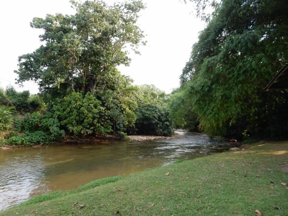 Фото The Roots Eco Resort