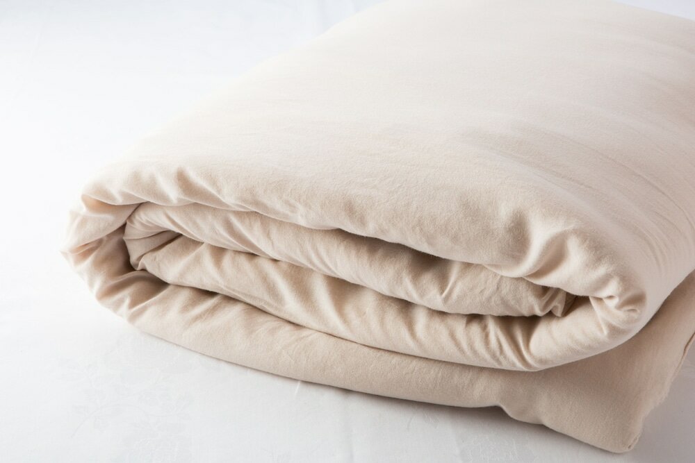 Фото Hotel Claiton Esaka