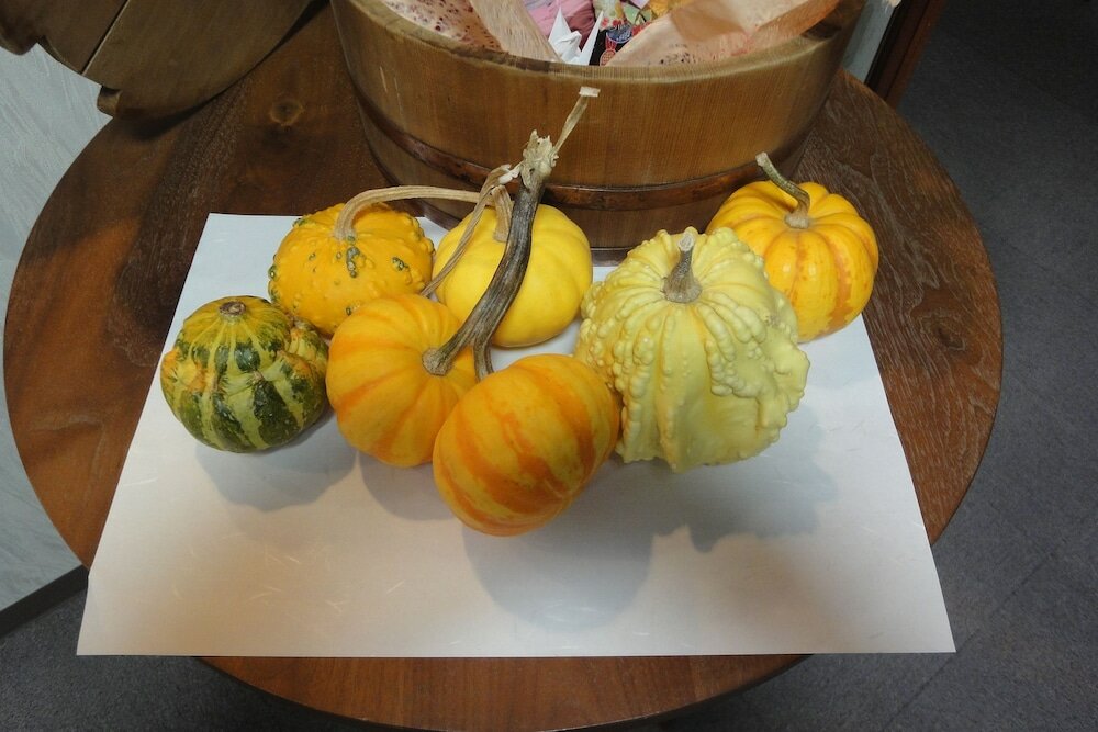 Фото Hakuba Glad Inn Ebisuya