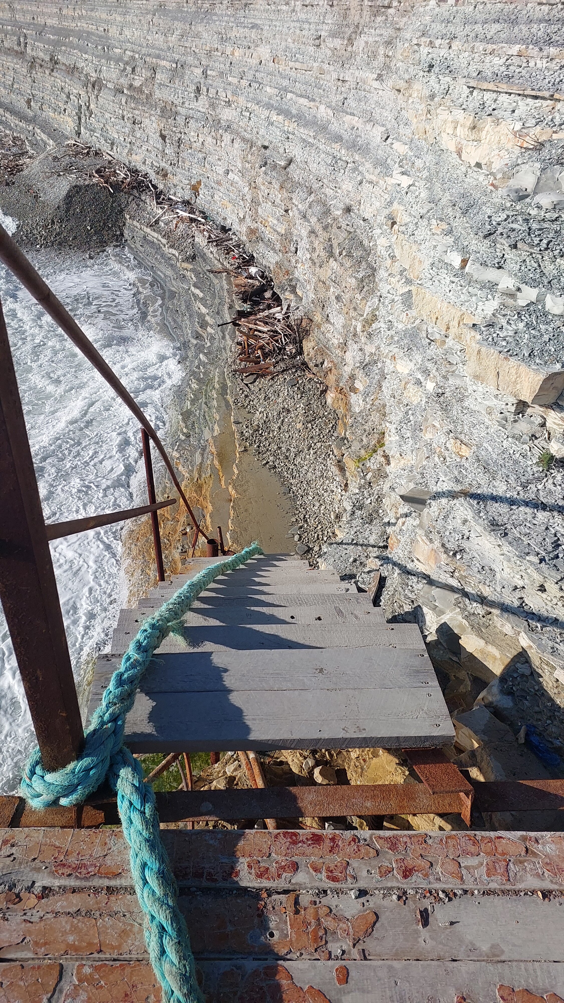 Фото Сосновка