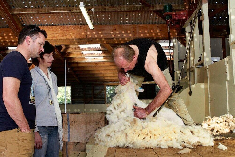 Фото The Point Bed & Breakfast