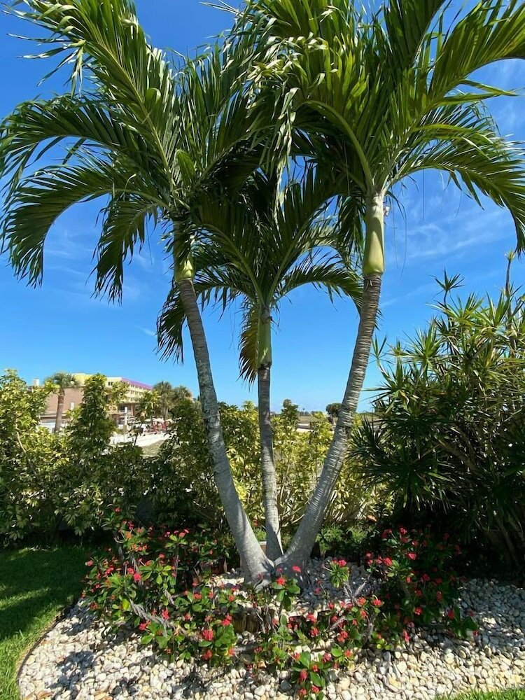 Фото Beachside Resort Motel